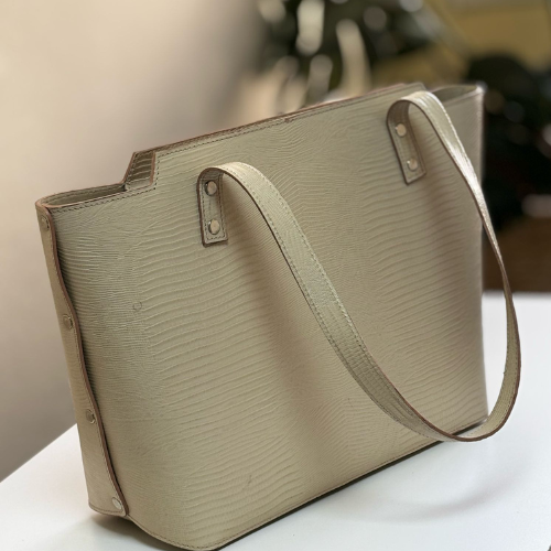 Cartera Aras